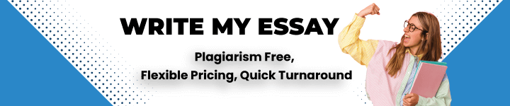 WRITE MY ESSAY